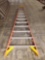 Werner 12ft ladder