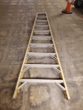 Werner Electro-Master Model 7210 Ladder Size 10ft