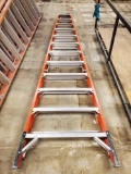 Werner 10ft ladder