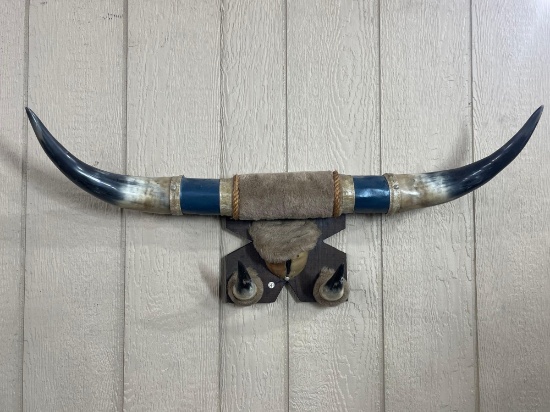 4-Horn Steer Display with Faux Fur