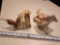 Tequila Collectible Lot