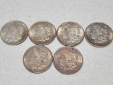 1921 Morgan Dollar Lot