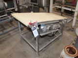 KOFAB STAINLESS STEEL INCLINE CONVEYOR