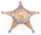 CALUMET CITY ILLINOIS POLICE SERGEANT BADGE