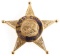 CALUMET CITY ILLINOIS POLICE ASST. CHIEF BADGE
