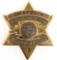 COOK CO. ILLINOIS CORRECTIONS BOARD CHAPLAIN BADGE