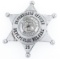ILLINOIS DEPT. PUBLIC WELFARE SUPERVISING OFFICER BADGE