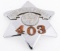 ILLINOIS OAK PARK POLICE PIE PLATE BADGE NO. 403
