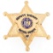 CAYUGA COUNTY NEW YORK DEPUTY SHERIFF BADGE