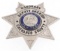 CHENANGO COUNTY NEW YORK HONORARY DEPUTY SHERIFF BADGE