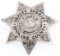 SPOKANE COUNTY WASHINGTON DEPUTY SHERIFF BADGE