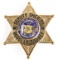DOUGLAS COUNTY WISCONSIN DEPUTY SHERIFF BADGE