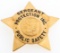 PUBLIC SAFETY PROTECTION INC SERGEANT BADGE