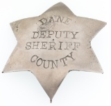 DANE COUNTY WISCONSIN DEPUTY SHERIFF BADGE