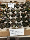 LOT OF D.A.S TEST 4.  HEX TOPS AND BASES