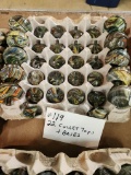LOT OF 22 CUTTLET TOPS AND BASES