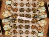 20 JABO INDIAN SUMMER TOPS AND BASES