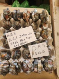 D.A.S JABO 20 FABB HEX TOPS AND BASES