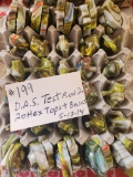 D.A.S TEST RUN 2 20 TOPS AND BOTTOMS