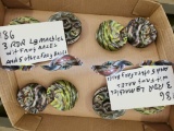 3 RDR LARGE MARBLES AND BASES