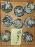8 Jabo Finale tops and Emb bases