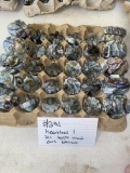 D.A.S. Heartland 20 Cullet tops and 20 embosed bases