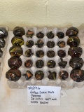 Jabo Joker fall Harvest 20 Cullet tops and 20 Embosed bases