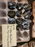 7 Jabo Joker Rainbow Hex Tops with Emb. bases