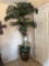 decorative trees