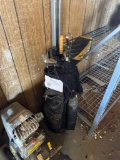golf bag and clubs