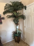 decorative trees