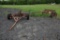 12' hay dolly trailer