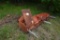 lot of forklift forks / metal cabinet