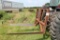 3 point Hay spear
