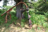 3-Point Post Hole Digger with Auger Bit