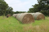 Hay - 27 Round Bales