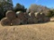 bales of hay 14x