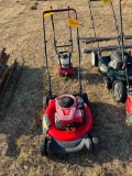 push mower