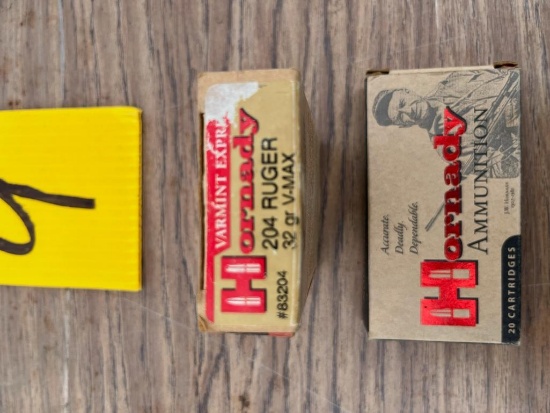 Hornady 204 Ammo