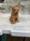 Sandicast Dog Figurine