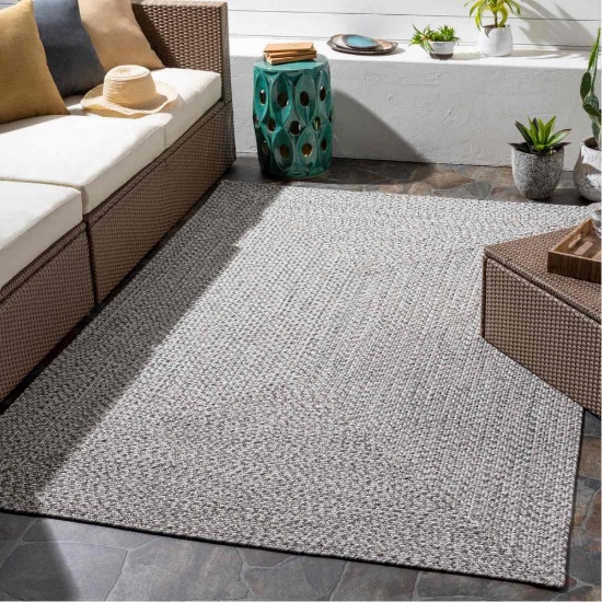 Leroux Indoor / Outdoor Area Rug in
