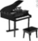 Childs 30 key Toy Grand Baby Piano