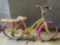 Woman Beach Cruiser