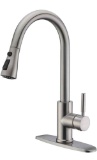 Kitchen Faucet,Single Level Stainless Steel Kitchen Sink Faucets with Pull Down Sprayer