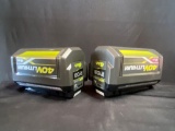 RYOBI Set Batteries