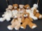 Lot of Teddy Bears