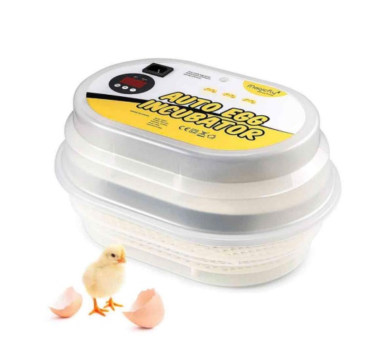 Magicfly Mini Egg Incubators for Hatching Eggs, with Automatic Egg Turning, 9-12 Eggs Hatching