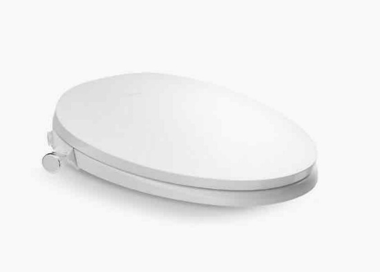 Manual Bidet Seat