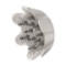 Shark FlexStyle Air Styling & Drying System