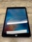 Apple iPad mini